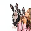 Senproco Dog Conditioner Reduces Shedding Professional-4