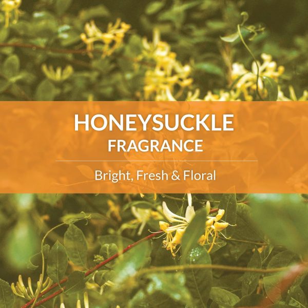 Dog Conditioner Skout's Honor Avocado Oil Detangler-6