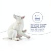 Dechra Pet Conditioner Spray Healthy Skin Coat Dogs Cats-6