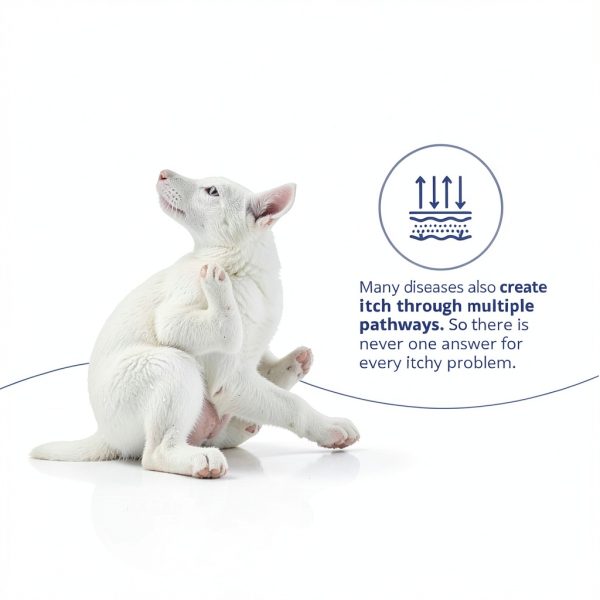 Dechra Pet Conditioner Spray Healthy Skin Coat Dogs Cats-6
